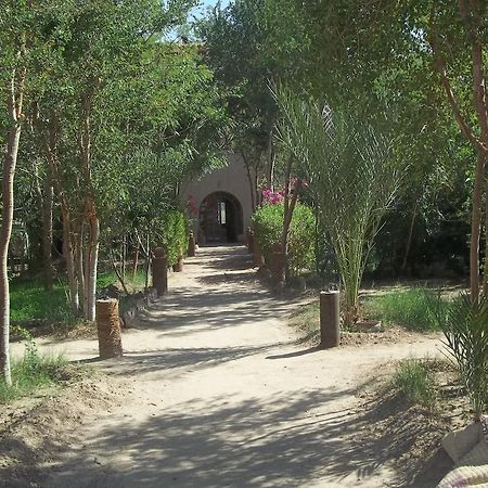 Nour El Balad Hotell Luxor Exteriör bild