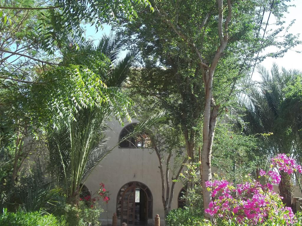Nour El Balad Hotell Luxor Exteriör bild