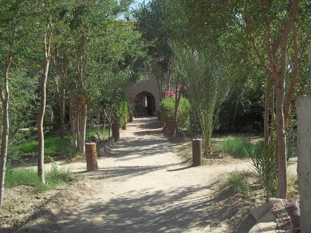 Nour El Balad Hotell Luxor Exteriör bild
